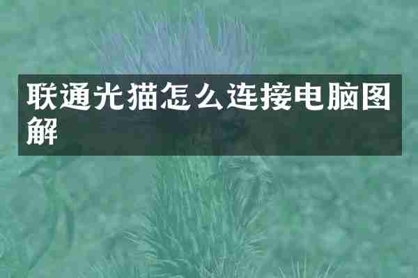联通光猫怎么连接电脑图解