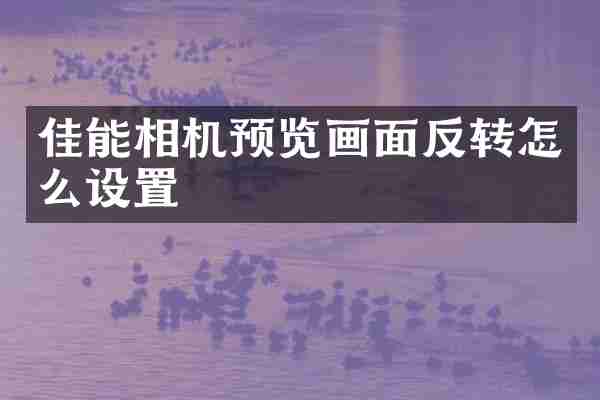 佳能相机预览画面反转怎么设置