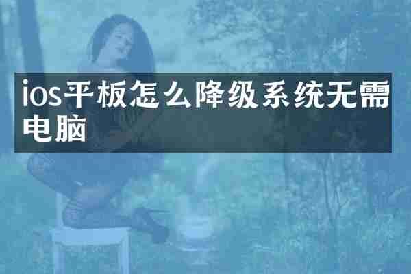 ios平板怎么降级系统无需电脑
