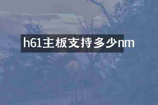 h61主板支持多少nm