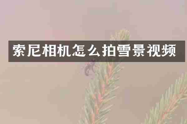 相机怎么拍雪景视频