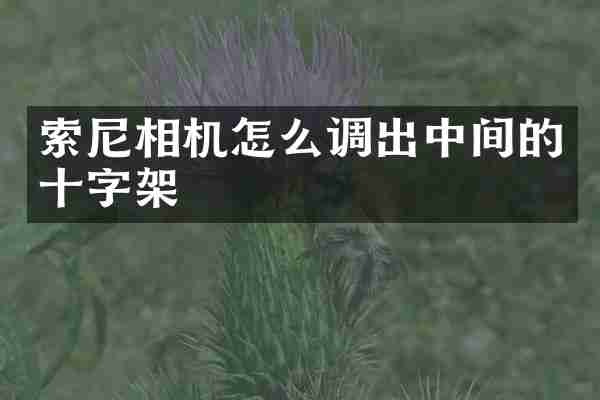 相机怎么调出中间的十字架