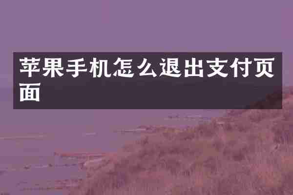 苹果手机怎么退出支付页面