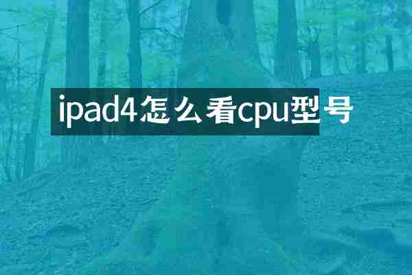 ipad4怎么看cpu型号