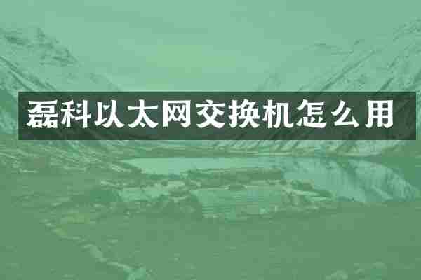 磊科以太网交换机怎么用