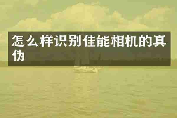 怎么样识别佳能相机的真伪