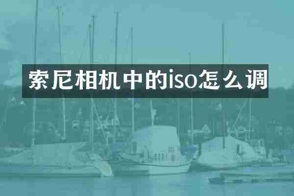相机中的iso怎么调