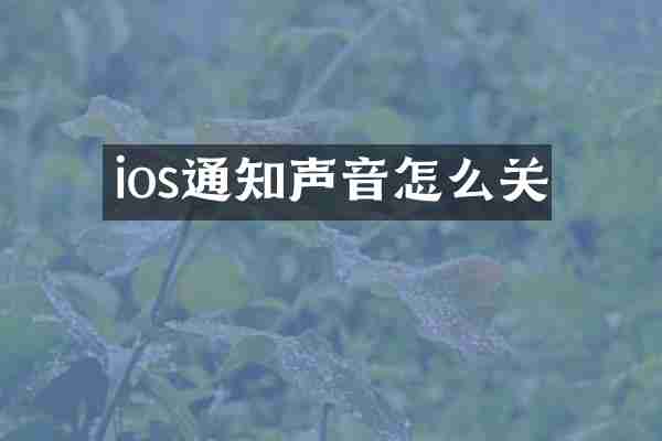 ios通知声音怎么关