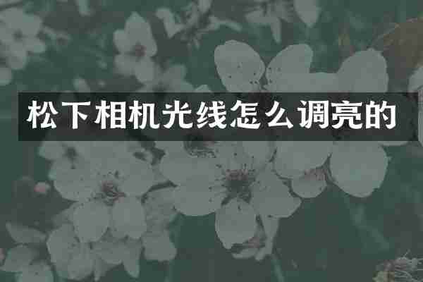 相机光线怎么调亮的