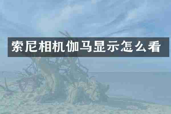 相机伽马显示怎么看