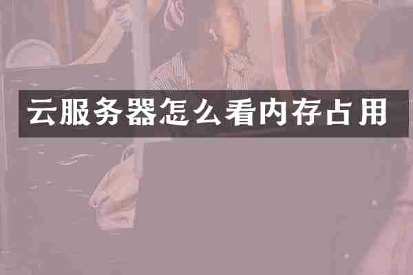 云服务器怎么看内存占用