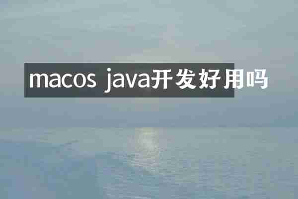 macos java开发好用吗
