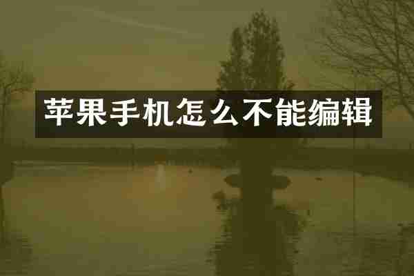 苹果手机怎么不能编辑