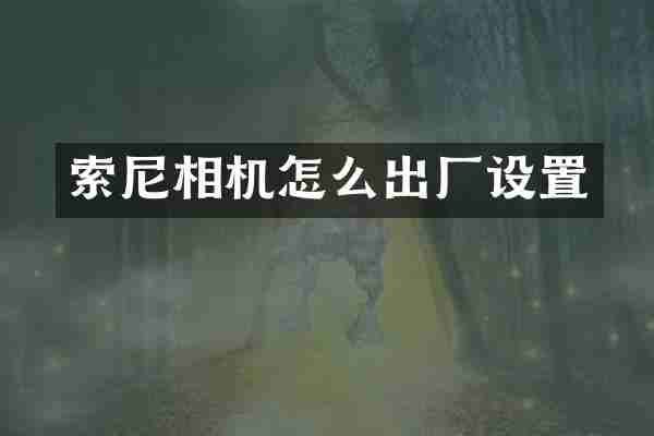 相机怎么出厂设置