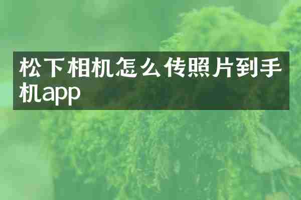相机怎么传照片到手机app