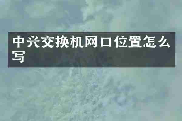 中兴交换机网口位置怎么写