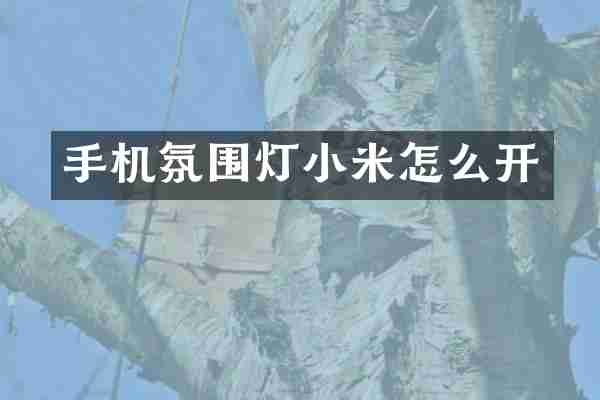 手机氛围灯小米怎么开