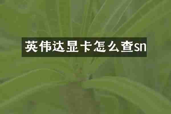 英伟达显卡怎么查sn