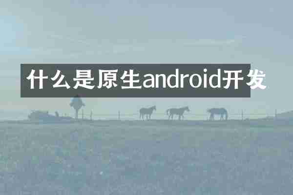 什么是原生android开发