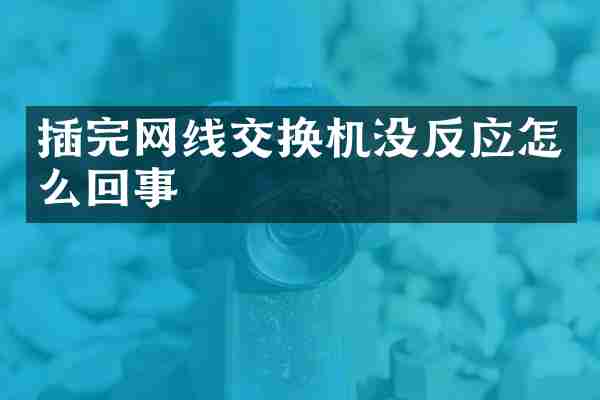插完网线交换机没反应怎么回事