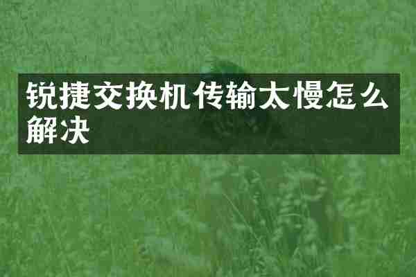锐捷交换机传输太慢怎么解决