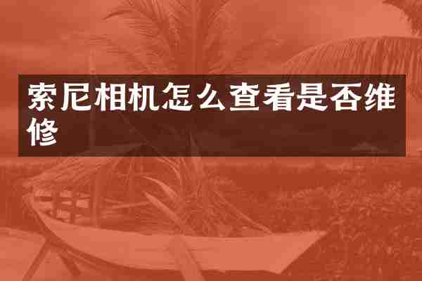 相机怎么查看是否维修