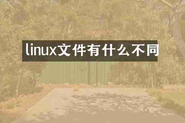 linux文件有什么不同