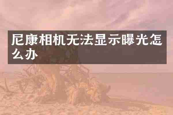 尼康相机无法显示曝光怎么办