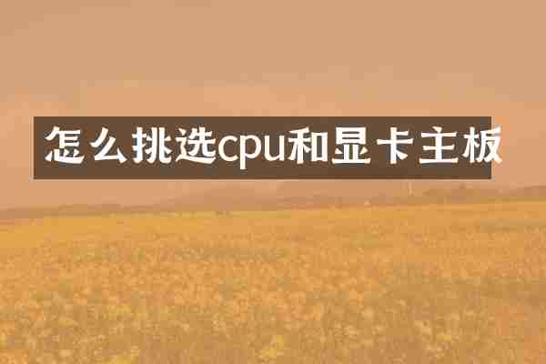 怎么挑选cpu和显卡主板