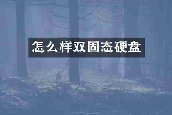 怎么样双固态硬盘