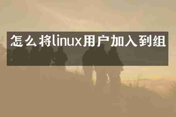 怎么将linux用户加入到组中