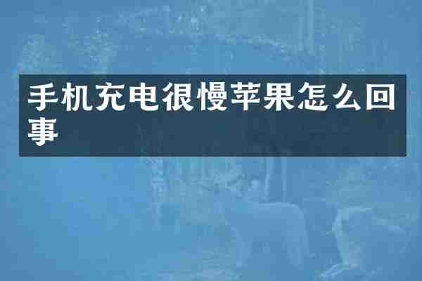 手机充电很慢苹果怎么回事