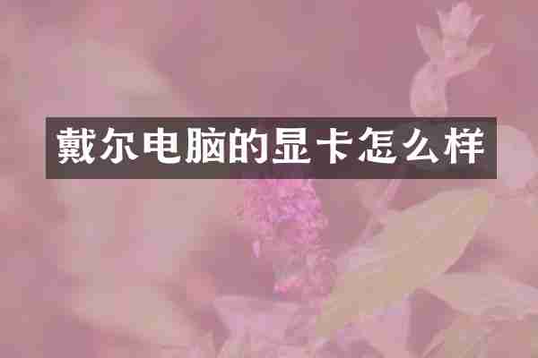 戴尔电脑的显卡怎么样