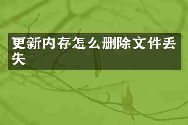 更新内存怎么删除文件丢失