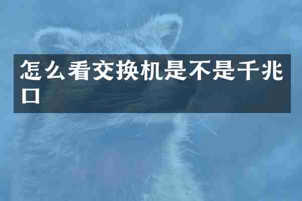 怎么看交换机是不是千兆口