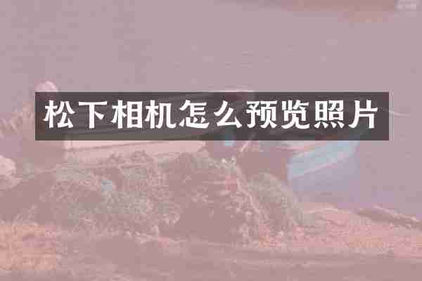 相机怎么预览照片