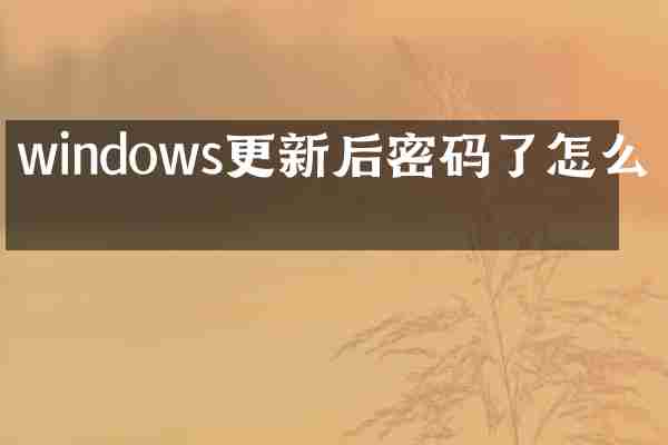 windows更新后密码了怎么办