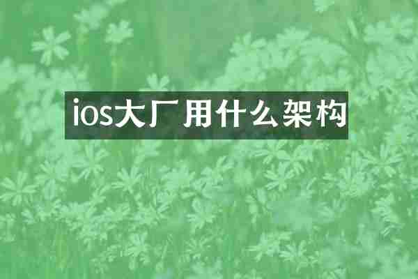 ios大厂用什么架构