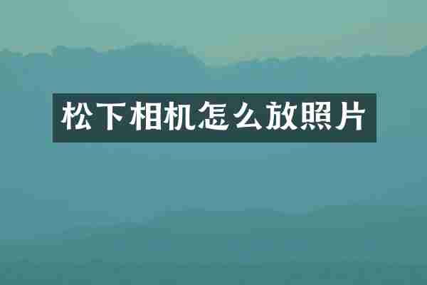 相机怎么放照片