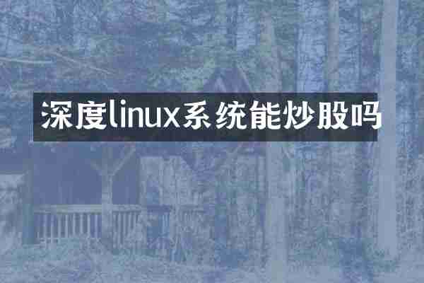 深度linux系统能炒股吗