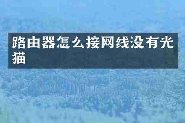 路由器怎么接网线没有光猫