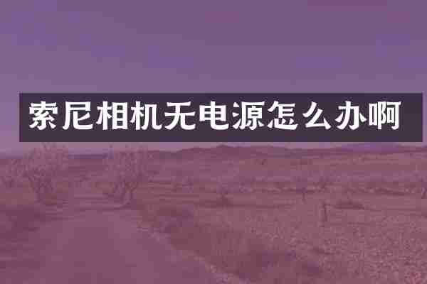 相机无电源怎么办啊