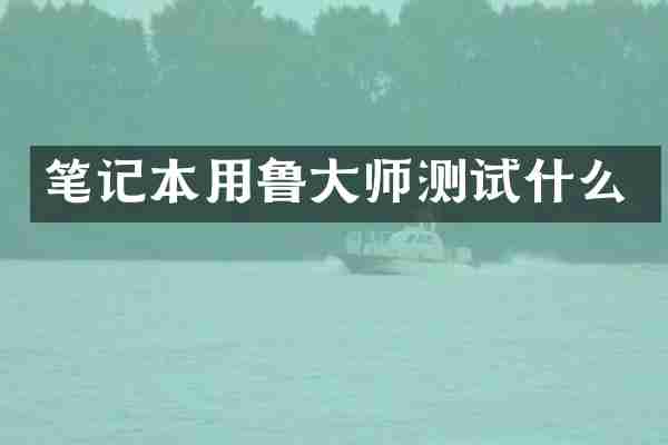 笔记本用鲁大师测试什么