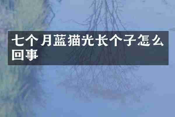 七个月蓝猫光长个子怎么回事