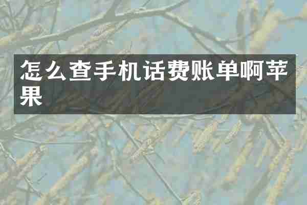 怎么查手机话费账单啊苹果