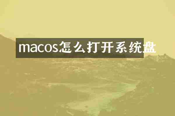 macos怎么打开系统盘