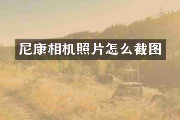 尼康相机照片怎么截图