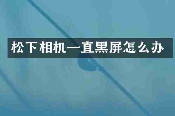松下相机一直黑屏怎么办