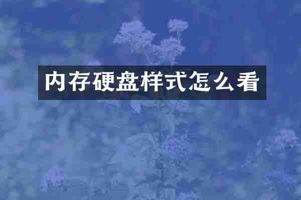 内存硬盘样式怎么看