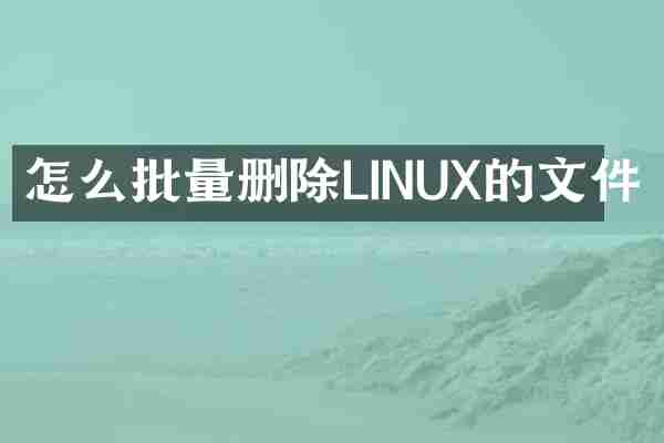 怎么批量删除LINUX的文件